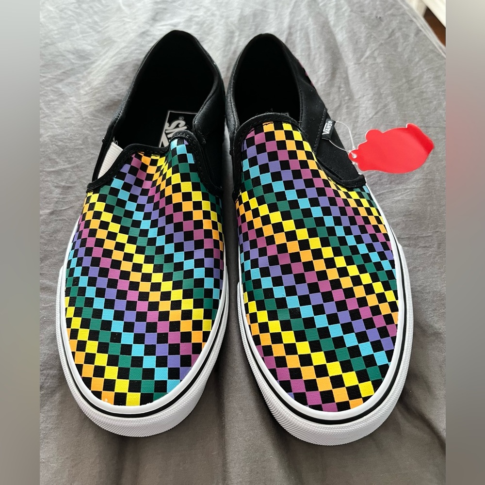 Brand new in box Rainbow checked Vans.